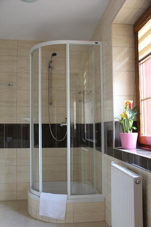 Apartamenty Pod Lwem شفيدنيتسا الغرفة الصورة